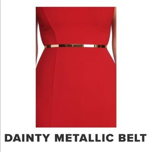 Danity Metallic Belt